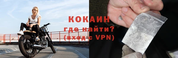 прущие грибы Верея
