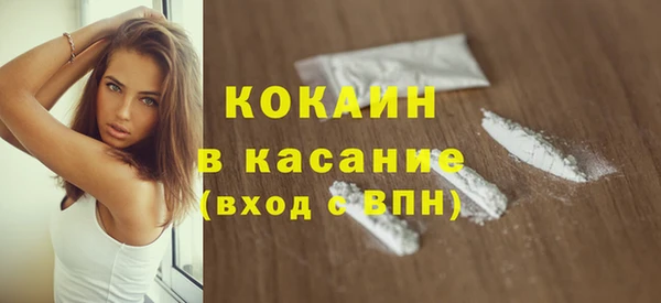 прущие грибы Верея