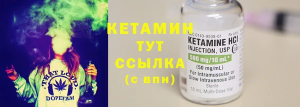 прущие грибы Верея